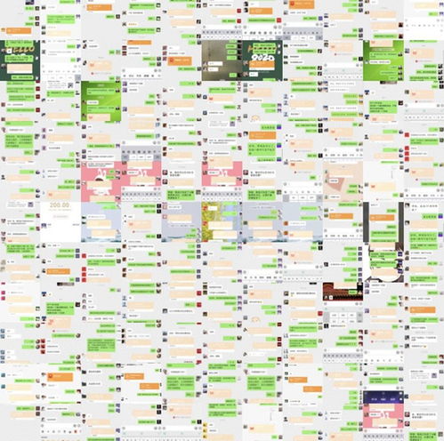 可羅雅墻布線上工廠直購會圓滿落幕 創新營銷，引領家裝新消費